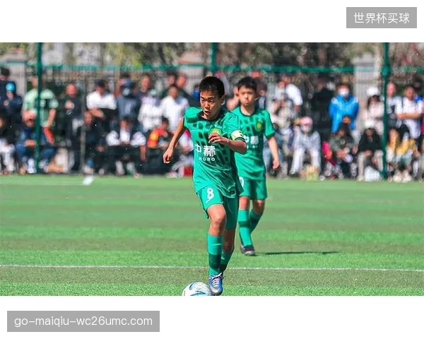 国安虽未能夺冠但展现出强大韧性，主场氛围成为球队稳定战绩的关键。